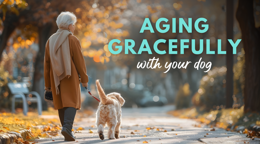 Aging Gracefully with Your Dog – Dr. Dobias Natural Healing