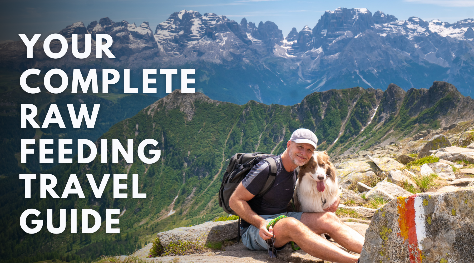 Your complete raw feeding travel guide (BARF diet) – Dr. Dobias Healing Solutions