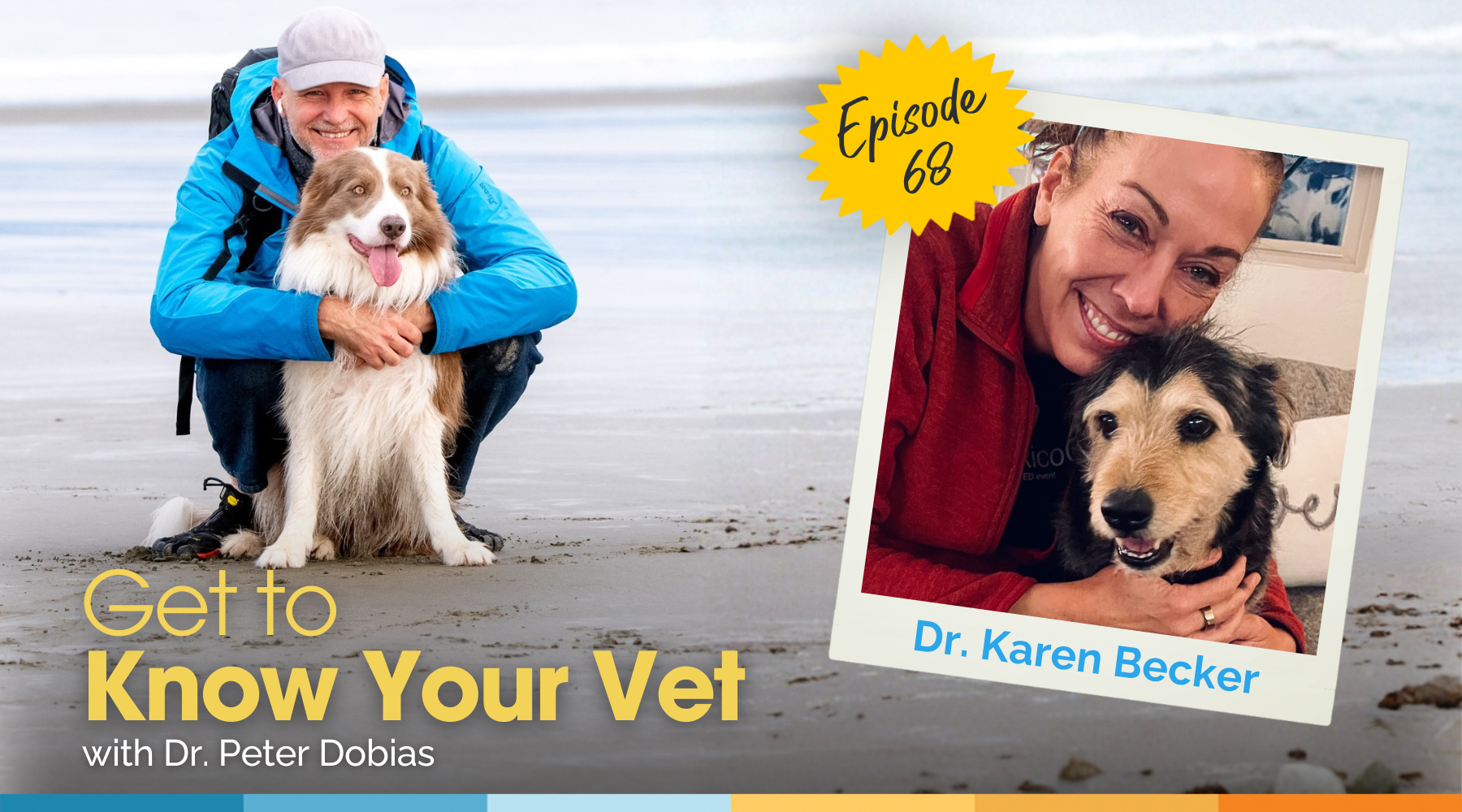 Get to Know Your Vet with Dr. Karen Becker