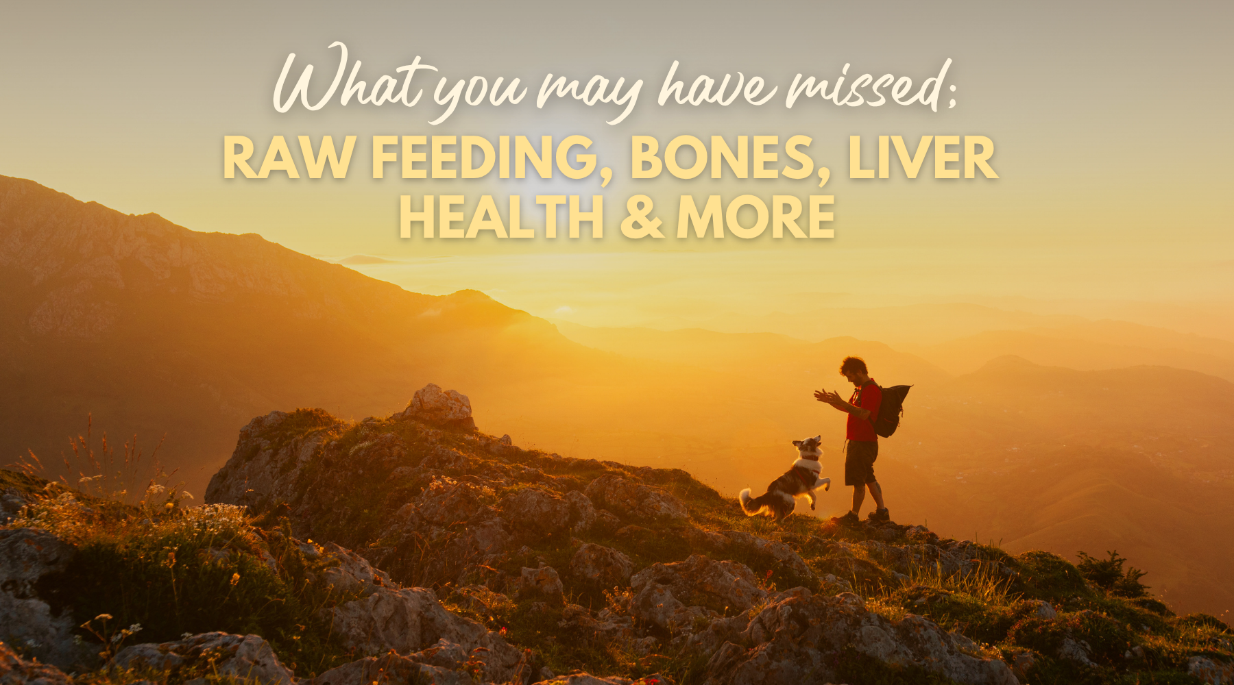 What You May Have Missed: Raw Feeding, Bones, Liver Health & More