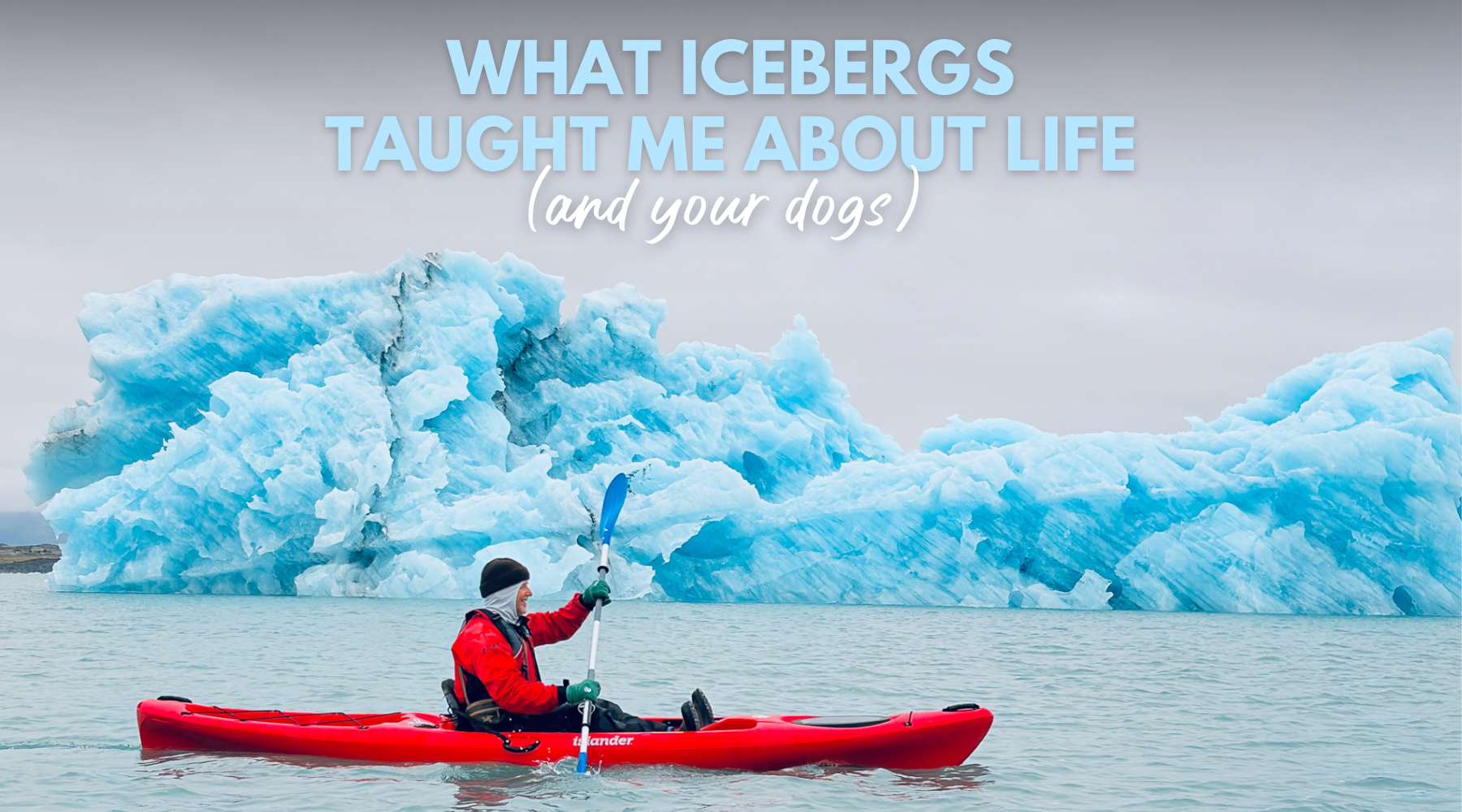 What icebergs taught me about life (and your dogs)