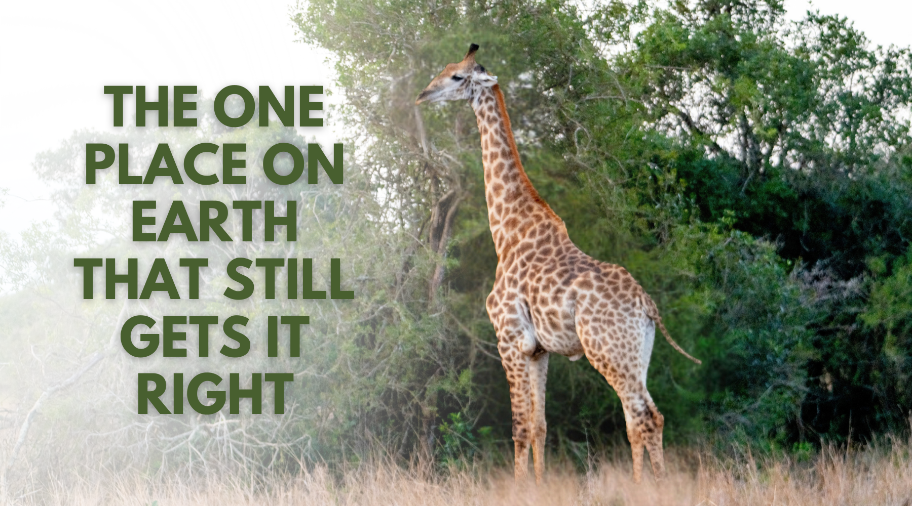 Dr. Dobias in Africa: The One Place on Earth That Still Gets it Right