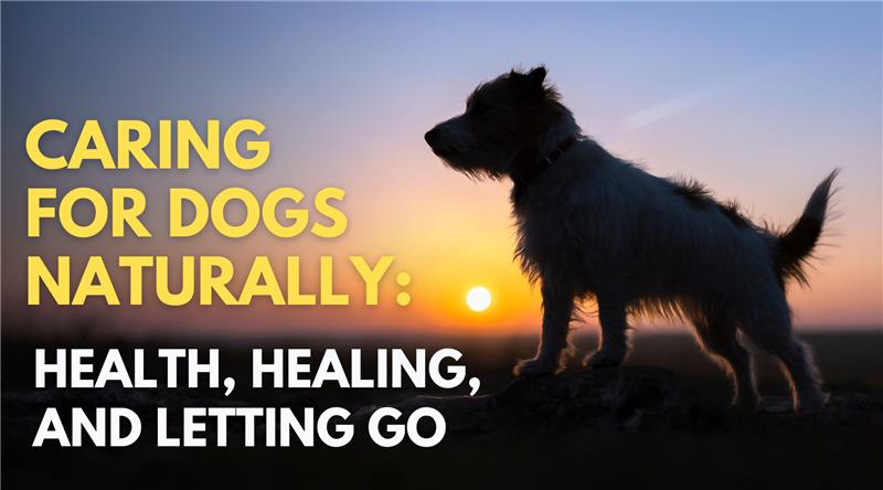 Caring for Dogs Naturally: Health, Healing, and Letting Go