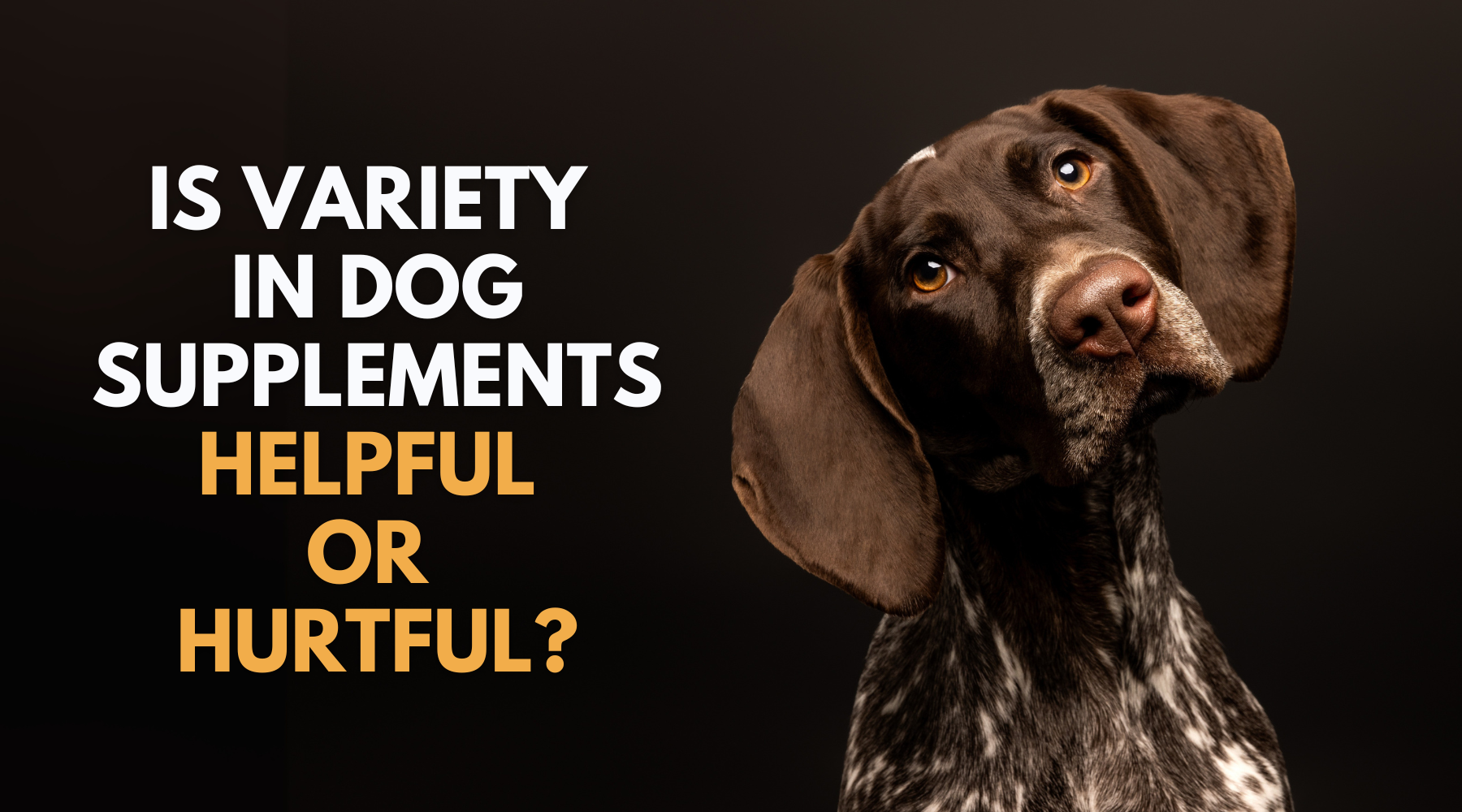 Is Variety in Dog Supplements Helpful or Hurtful?