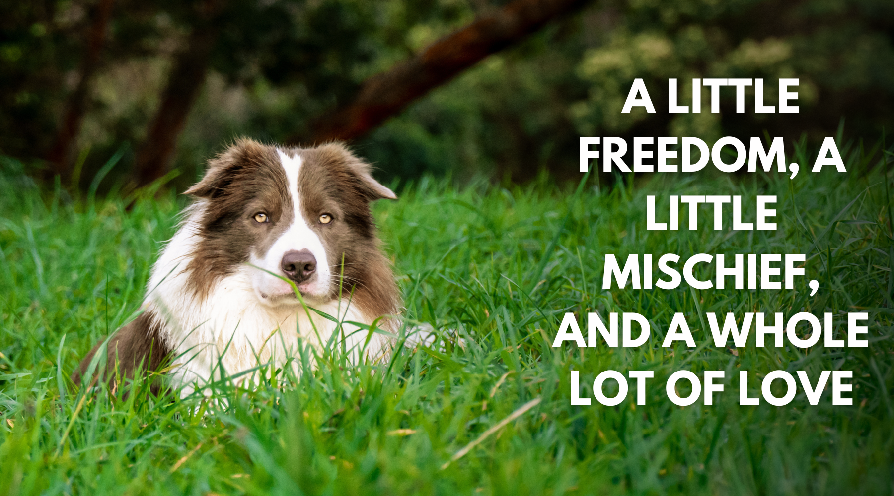 A Little Freedom, a Little Mischief, and a Whole Lot of Love