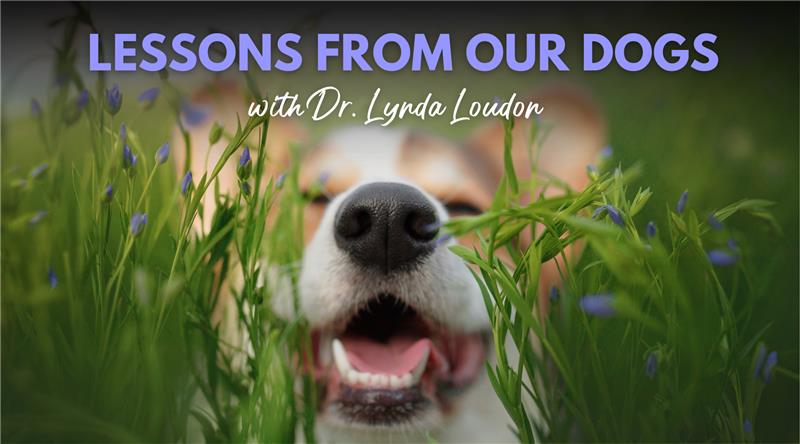 Life Lessons from Our Dogs: Growth, Healing, and Letting Go - with Dr. Lynda Loudon & Dr. Peter Dobias