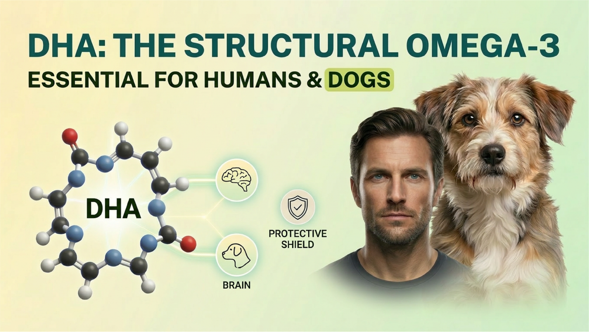 DHA Webinar: The Structural Omega-3 Essential for Humans and Dogs