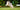 Dog flying through the air to catch a frisbee-Why frisbee fetching may be risky for dogs