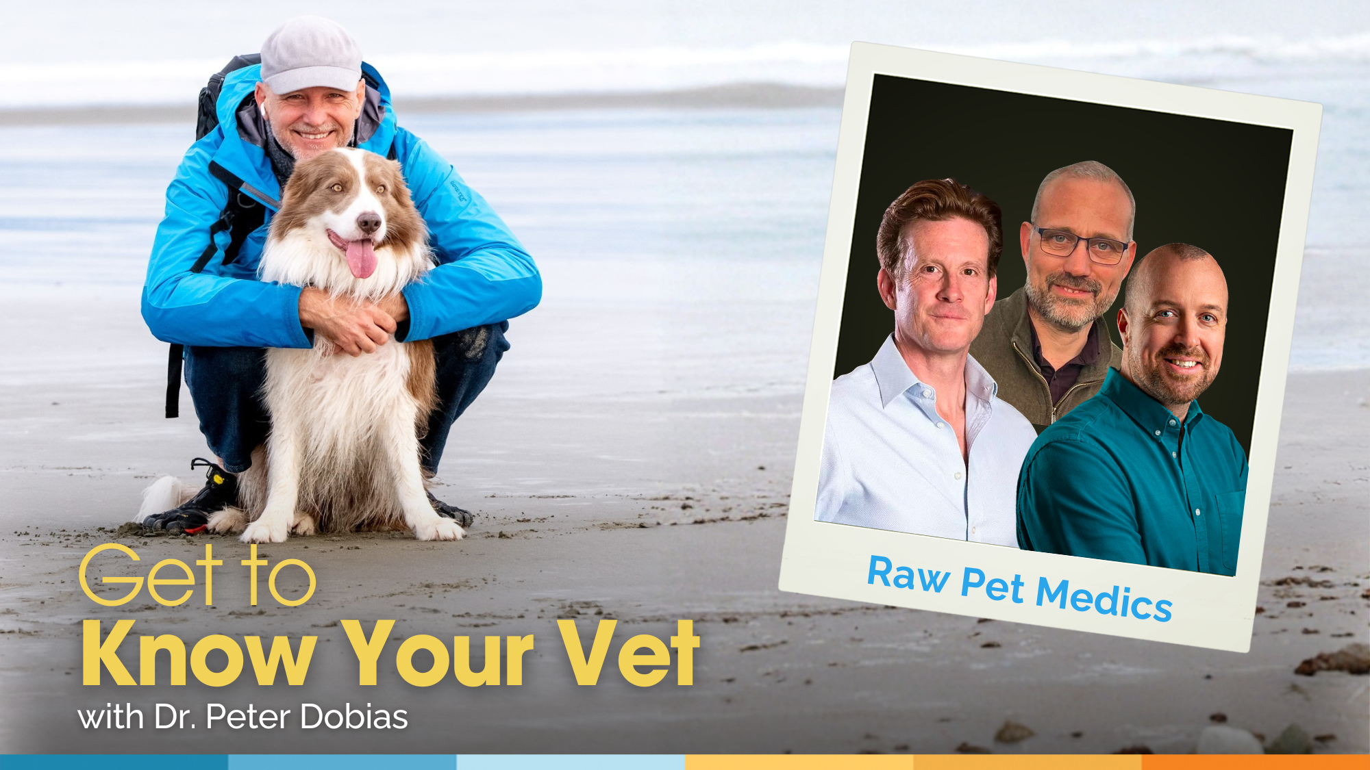 Get to Know Your Vet with Dr. Nick Thompson, Dr. Conor Brady, and Dr. Brendan Clarke