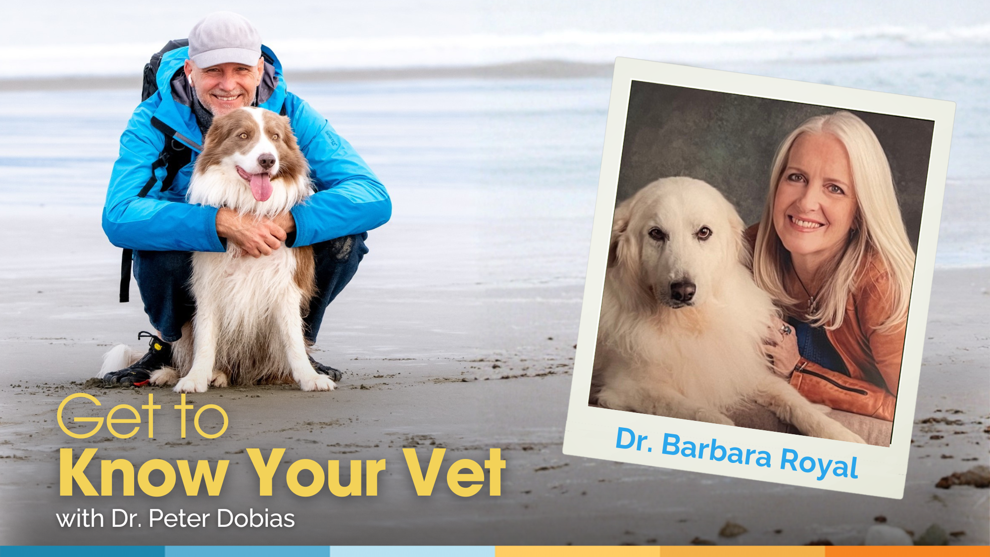 Get to Know Your Vet with Dr. Barbara Royal