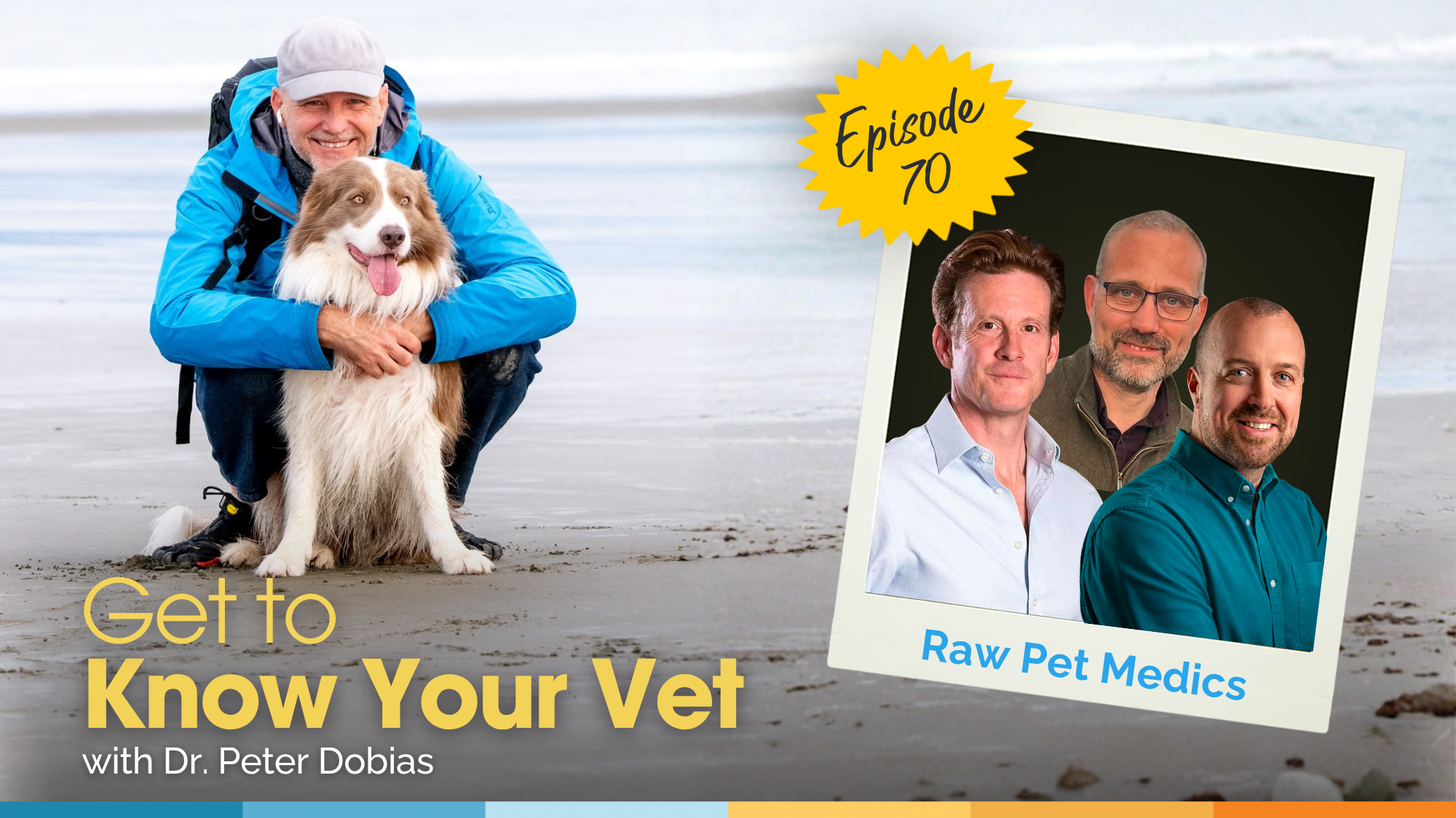 Get to Know Your Vet with Dr. Nick Thompson, Dr. Conor Brady, and Dr. Brendan Clarke