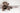 Brown puppy with gas and digestion issues lying on floor-solutions