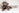 Brown puppy with gas and digestion issues lying on floor-solutions