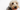 Sad dog with urinary incontinence