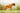 Narrow shouldered dog with heart disease- Holistic ways to prevent heart disease
