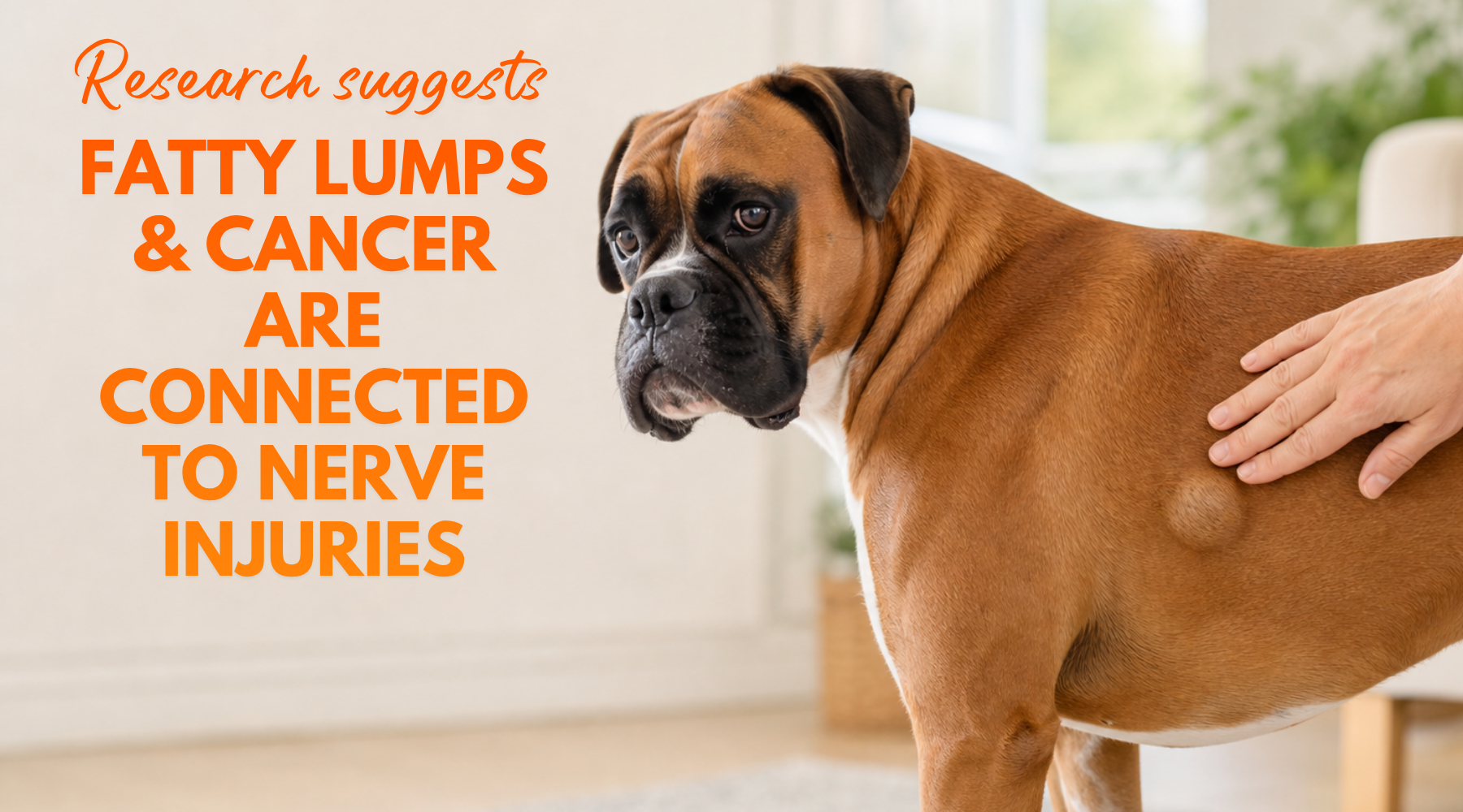 Research Suggests: Fatty Lumps (Lipomas) and Cancer are Connected to Nerve Injuries