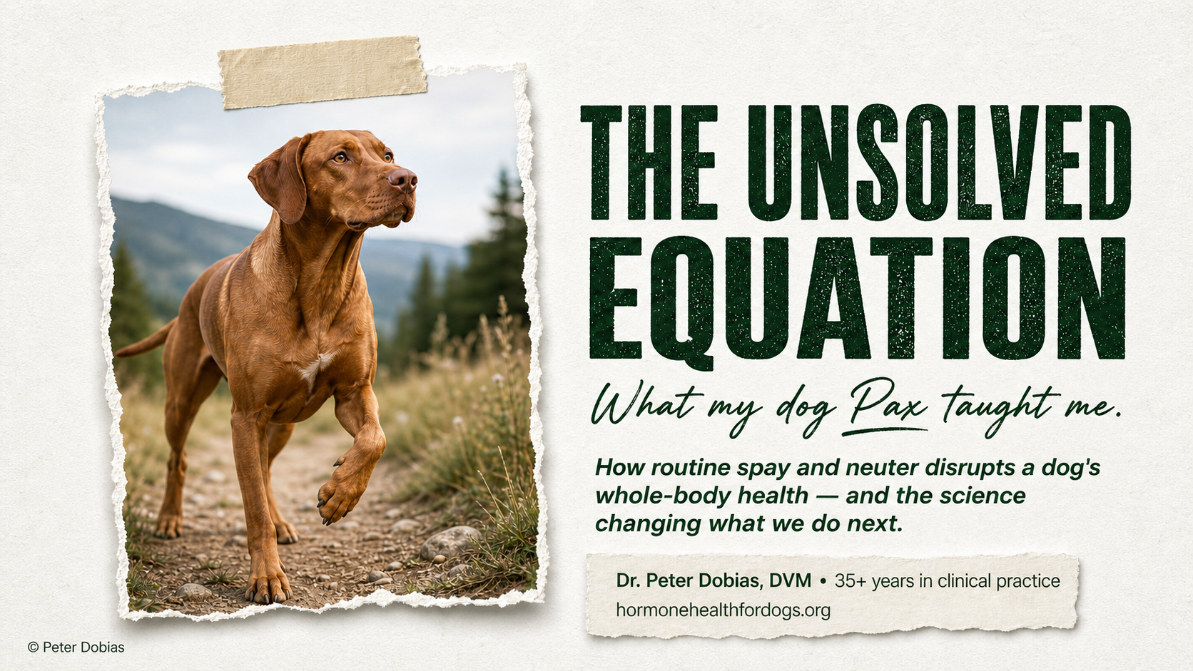 The Unsolved Equation: Why Conventional Spay and Neuter Procedures Disrupts Canine Health — and What We Can Do About It