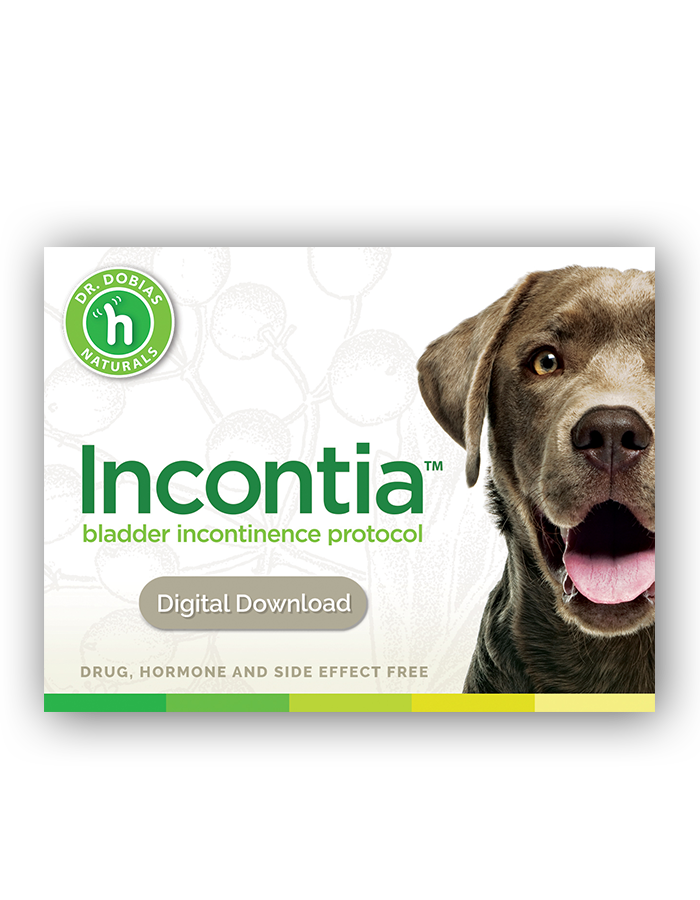Incontinence drugs top for dogs