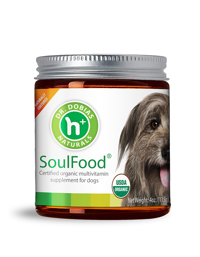 Green Nutrition Boosters For Pets – House of Paws Pet Boutique