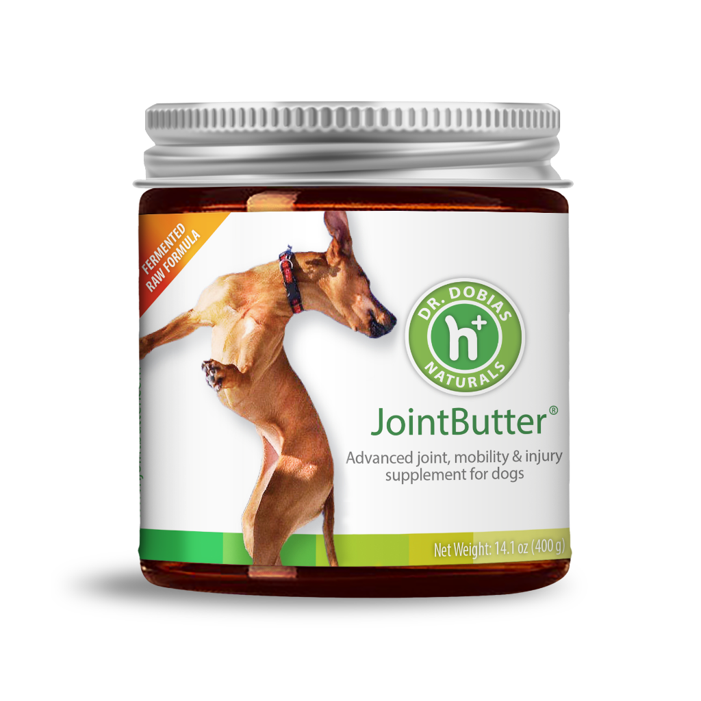 Best glucosamine for dogs canada online