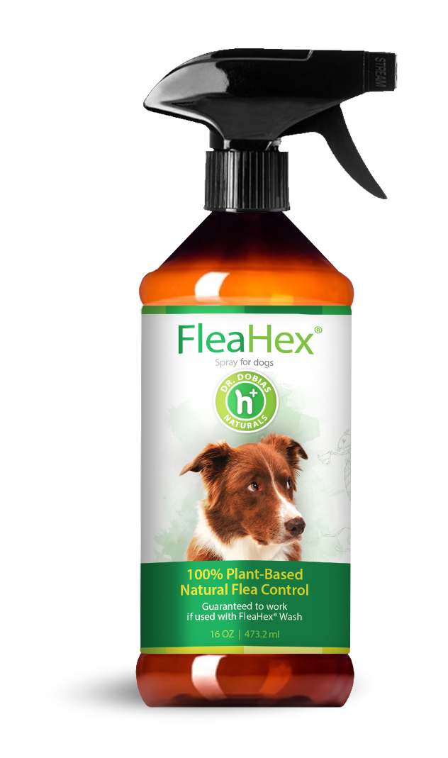 FleaHex® Step 2 - Natural Flea Spray for House | Dr. Peter Dobias FleaHex® Step 2 - Natural Flea Spray for House | Dr. Peter Dobias
