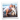 Peter and Pax in a Polaroid frame at the beach