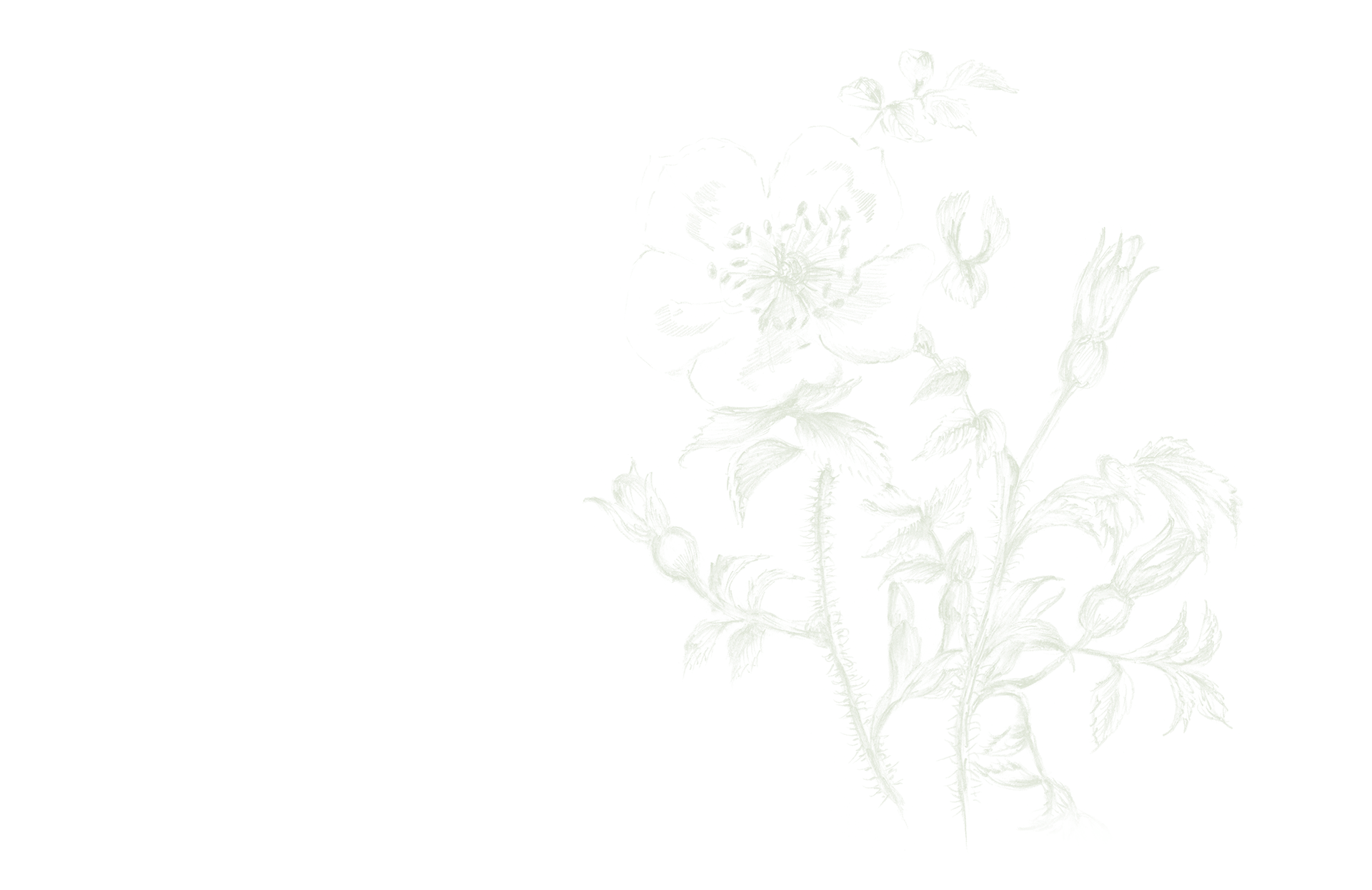 Background flowers