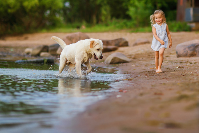 Dog playing with girl