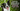 Rescue dogs and a rainforest received your love