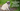 Obese dog? A comprehensive guide to understanding canine obesity