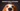 Fermentation and Histamine in Dogs: Is it Good, Great, or Evil?