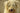 Should you worry about arsenic levels in chicken and dog food?