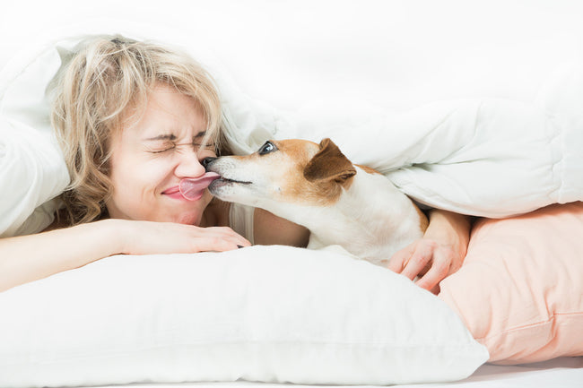 The mysterious connection between your dog's neck and internal organ health