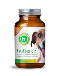 GutSense Advanced probiotic and gut health support for dogs