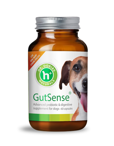 GutSense Advanced probiotic and gut health support for dogs