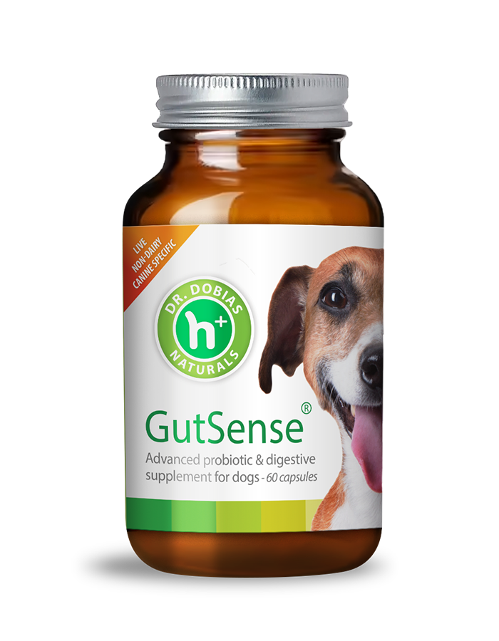 GutSense Advanced probiotic and gut health support for dogs