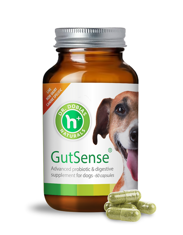 Gutsense® Pills - Dr. Dobias Natural Healing Solutions