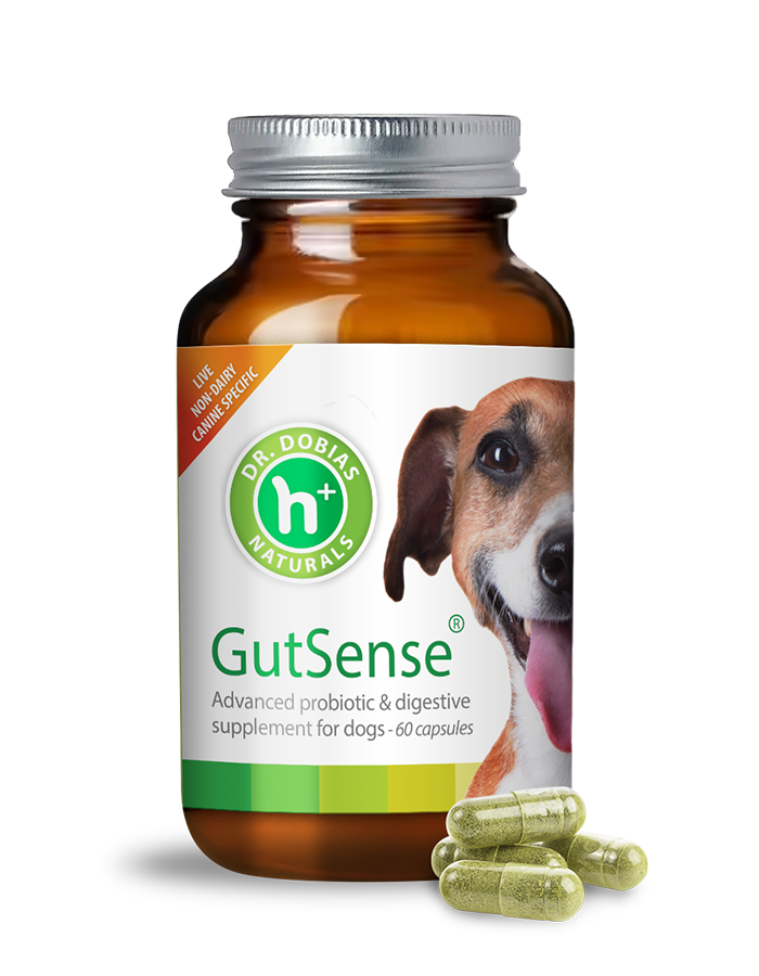 GutSense® For Dogs