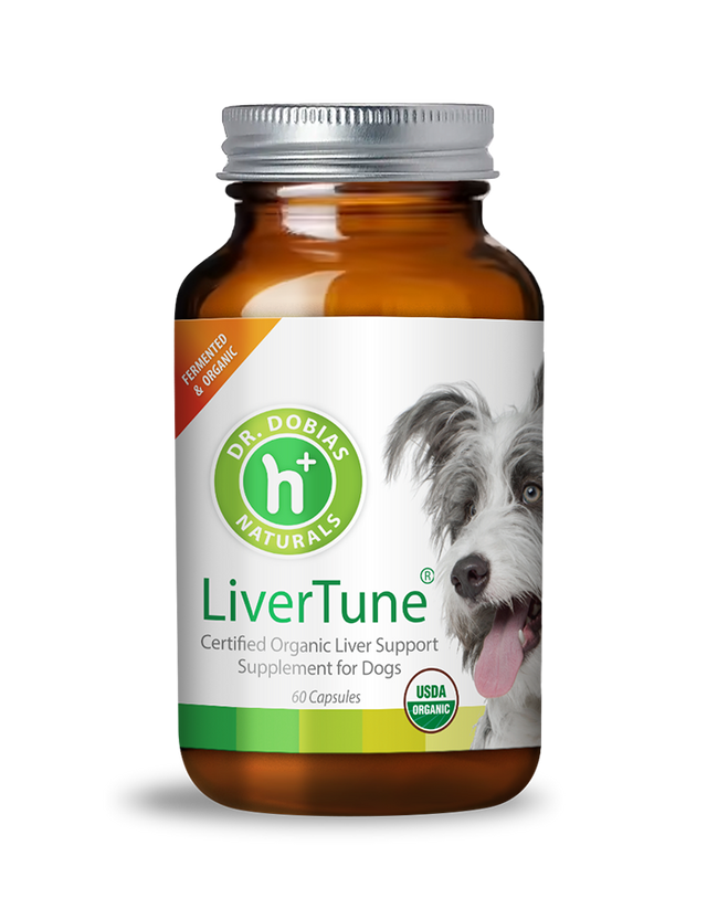 Natural Liver Supplement and Detox for Dogs Dr. Dobias Dr. Dobias