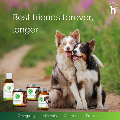 The Fab4 canine bundle for happy dogs