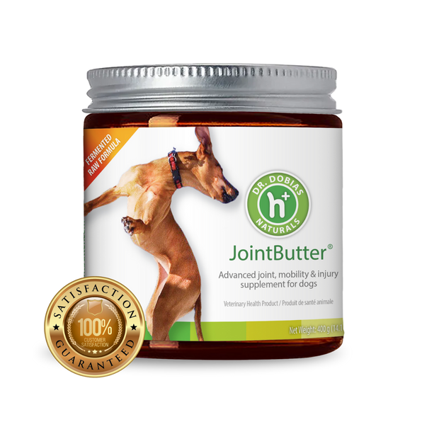 Dr. Peter Dobias Natural Health and Supplements for Dogs and People