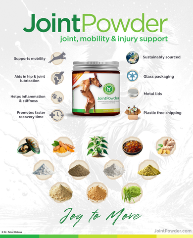 JointButter® joint and mobility supplement | Dr. Dobias