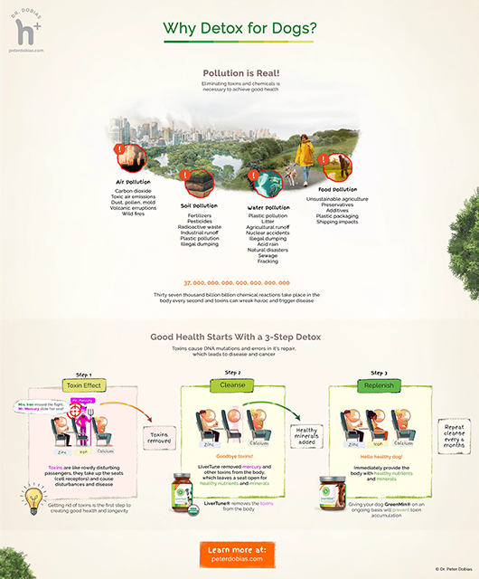 Natural Liver Supplement and Detox for Dogs Dr. Dobias Dr. Dobias