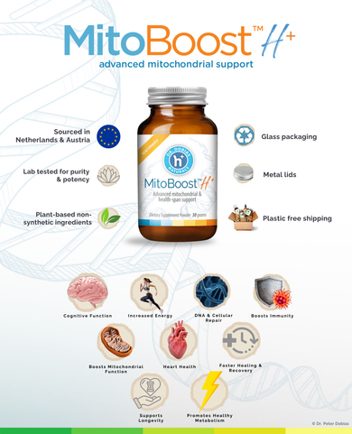 MitoBoost™ energy and longevity supplement for dogs | Dr. Dobias