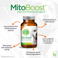 MitoBoost™ H+ for people | Dr. Dobias