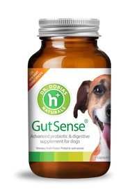 GutSense® certified organic probiotic for dogs | Dr. Dobias