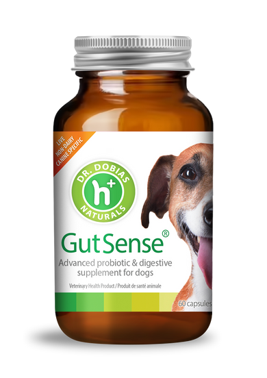 GutSense® certified organic probiotic for dogs | Dr. Dobias