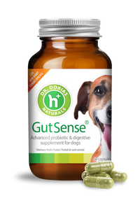 GutSense® certified organic probiotic for dogs | Dr. Dobias