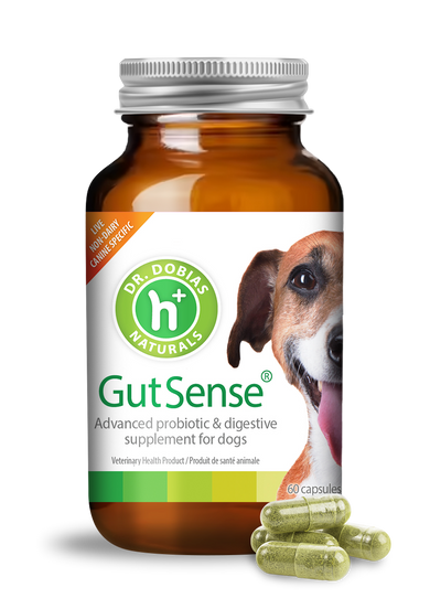 GutSense® certified organic probiotic for dogs | Dr. Dobias