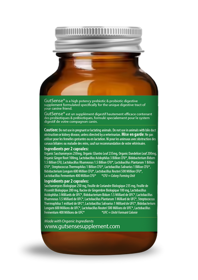 GutSense® certified organic probiotic for dogs | Dr. Dobias